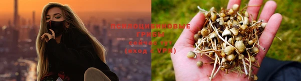 марки nbome Арсеньев