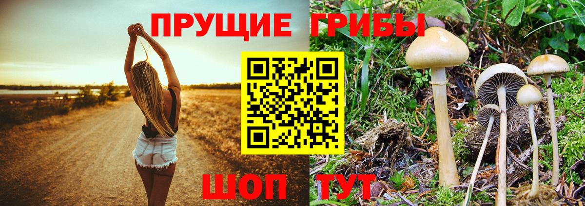 Псилоцибиновые грибы ЛСД  Вход с VPN  Лесосибирск 
